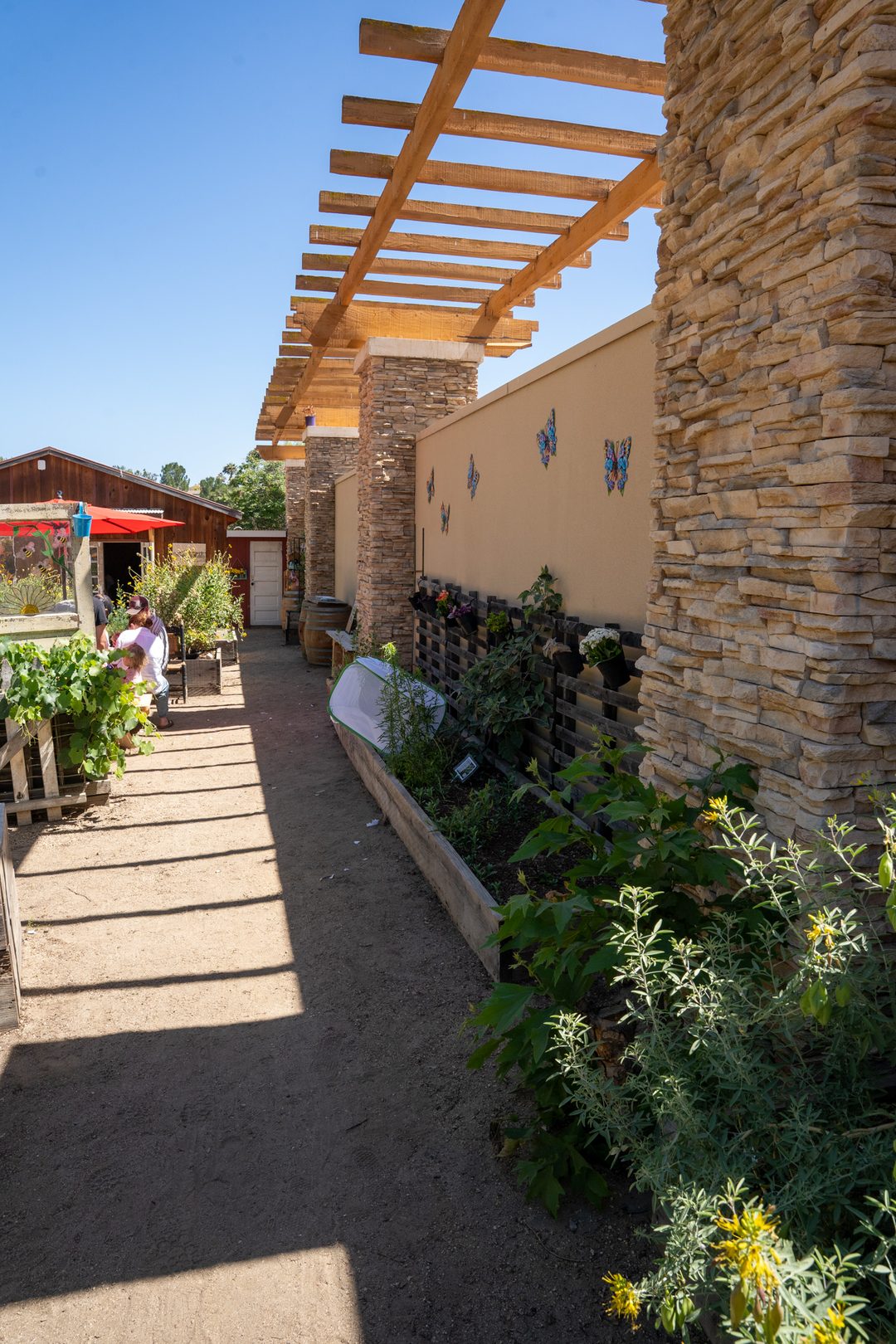 Vail Kids Ranch